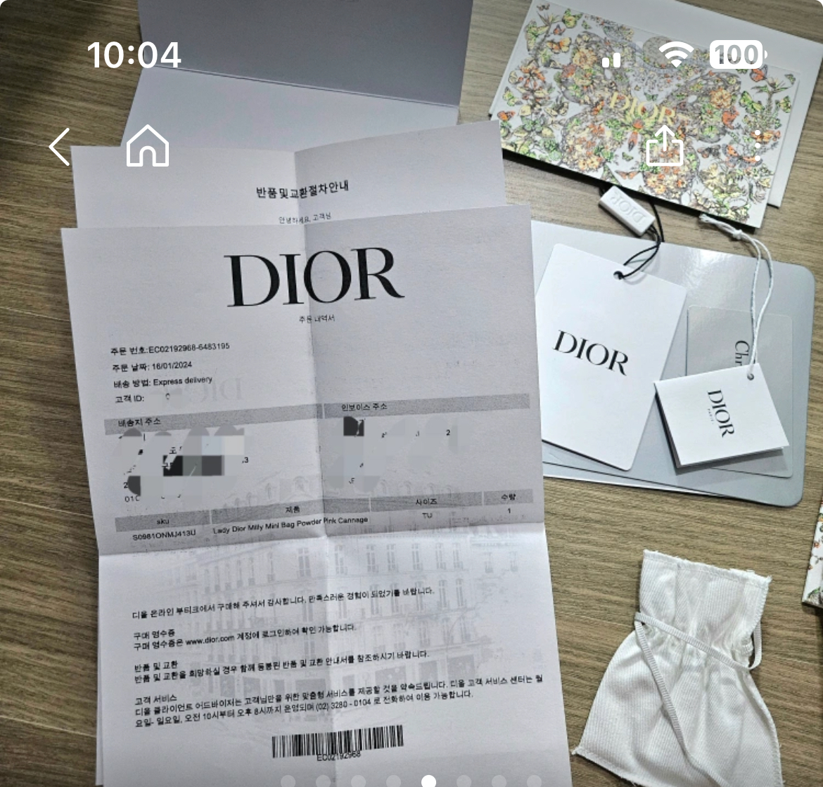 디올 밀리 미니백