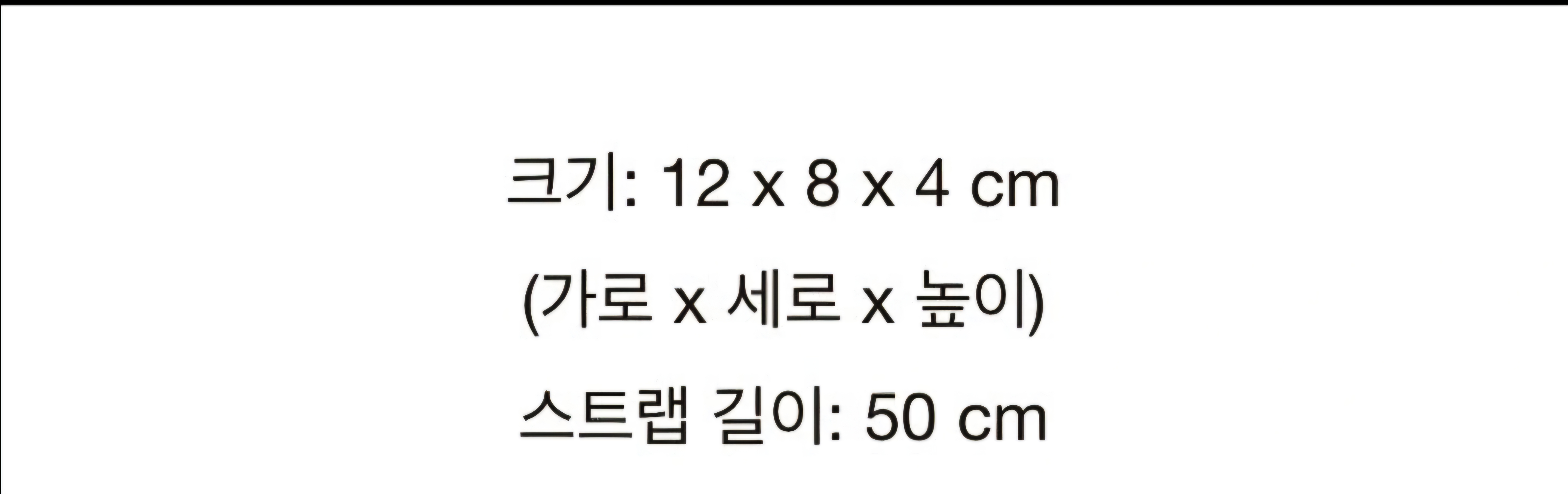 보테가 카세트백