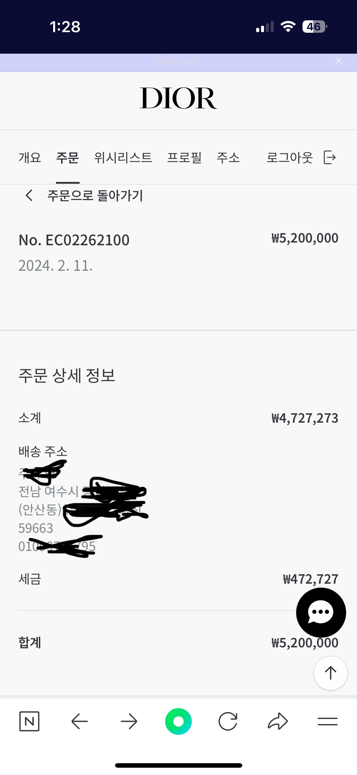 디올 오블리크 새들백