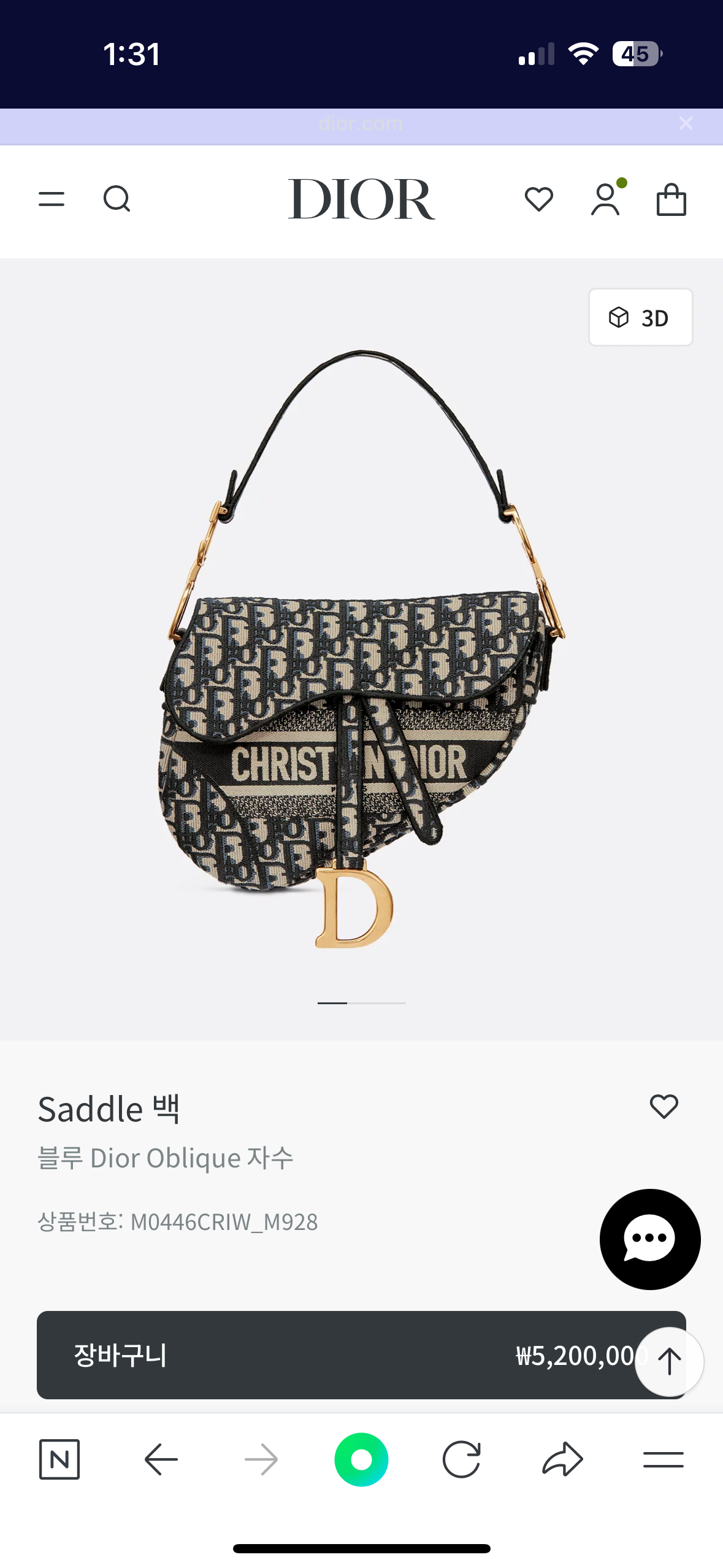 디올 오블리크 새들백