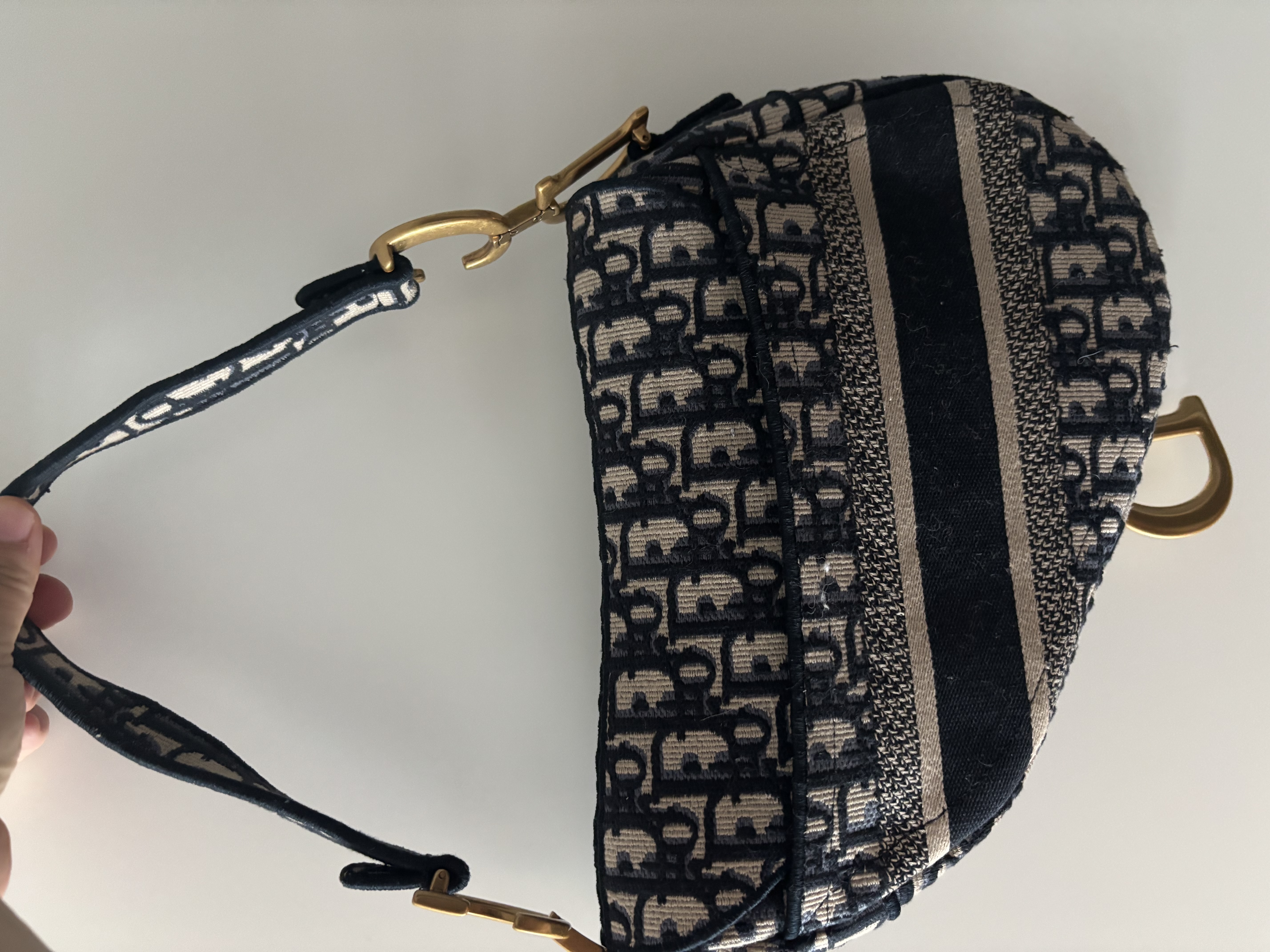 디올 오블리크 새들백