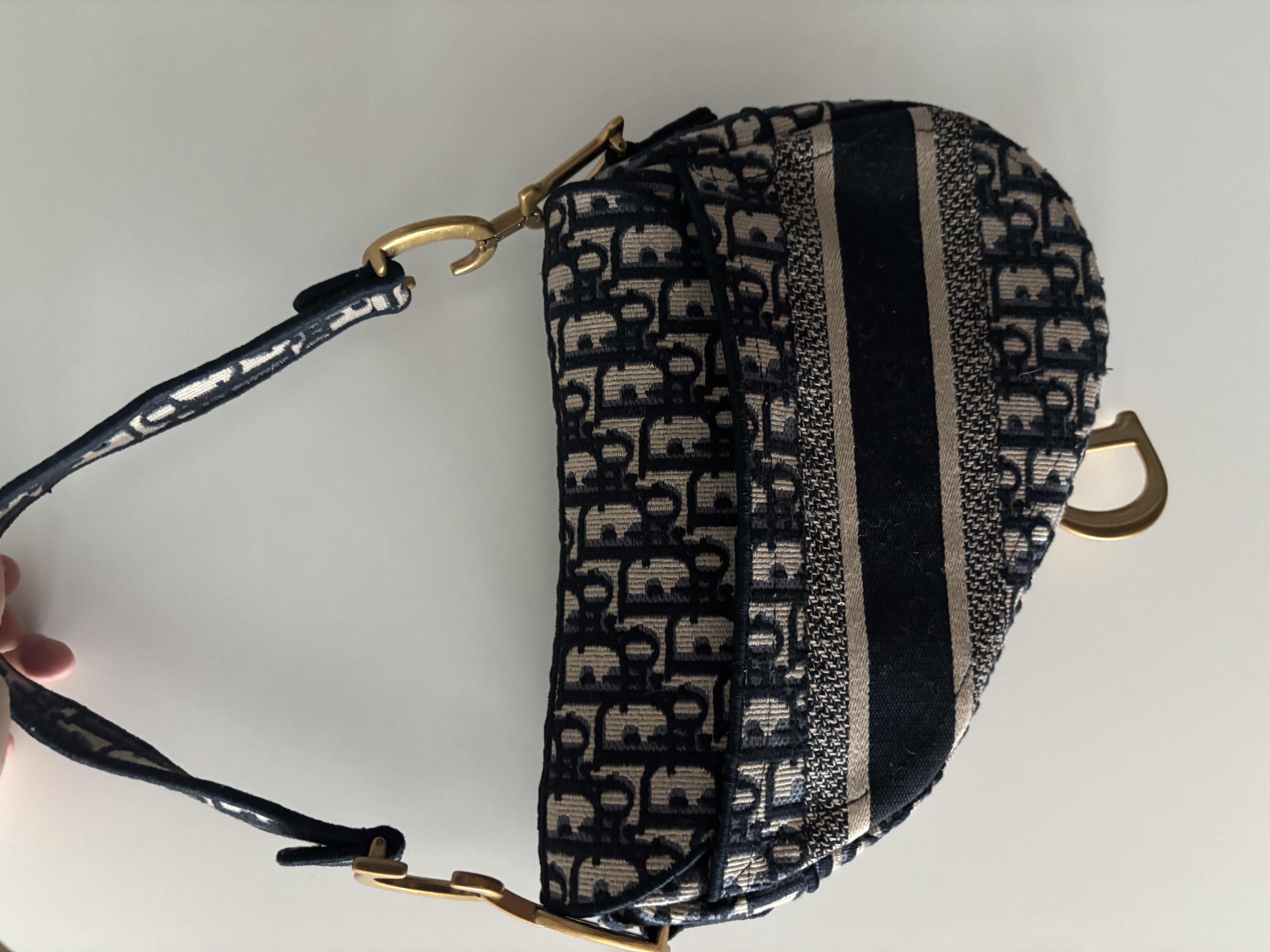 디올 오블리크 새들백