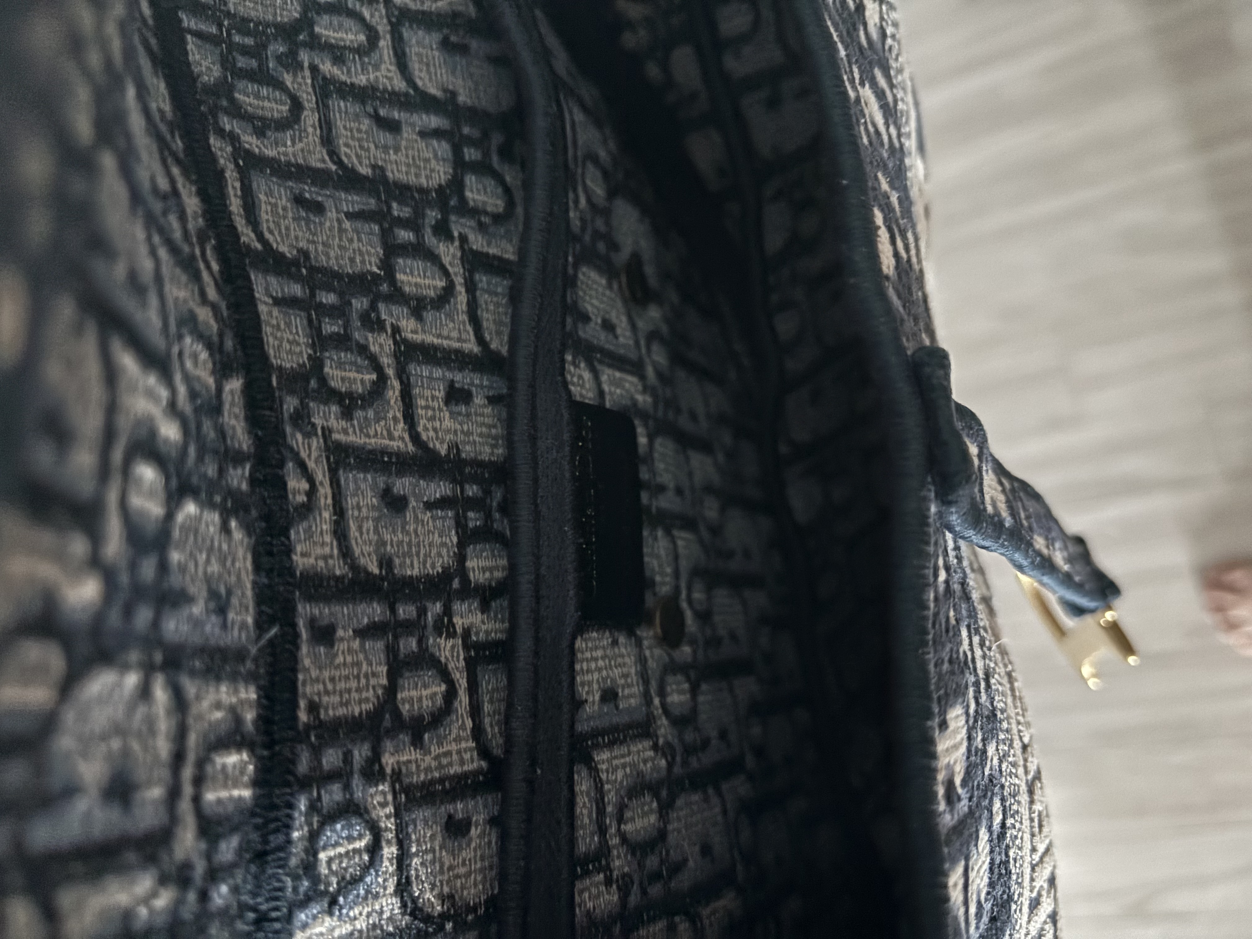 디올 오블리크 새들백