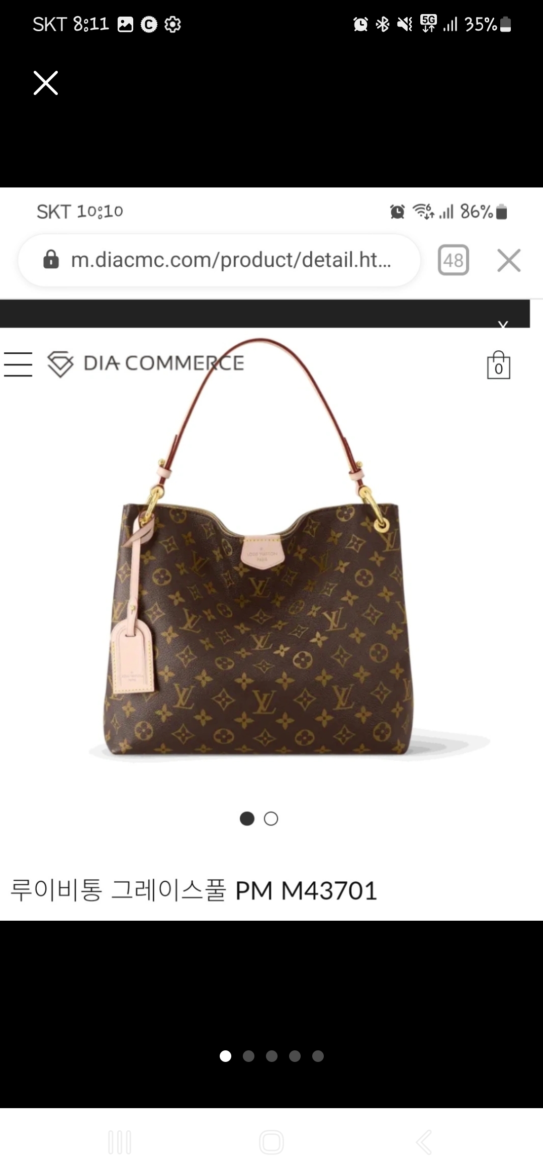 루이비통 그레이스풀pm