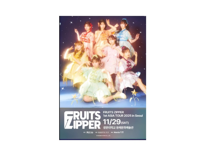 후르츠지퍼 내한 콘서트 VIP석 양도