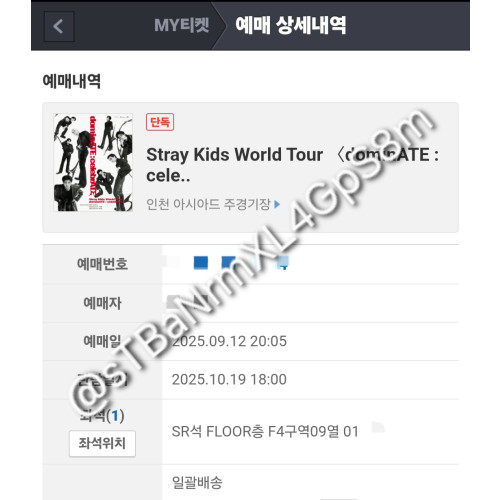 스키즈 콘서트 막콘 F4구역